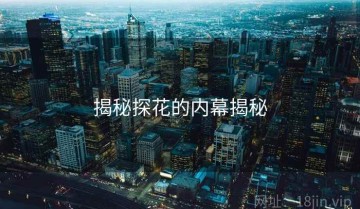 揭秘探花的内幕揭秘