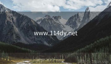 www.114dy.net