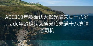 ADC110年龄确认大驾光临未满十八岁,adc年龄确认大驾光临未满十八岁请老司机