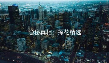 隐秘真相：探花精选