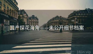 国产探花海角——未公开细节档案