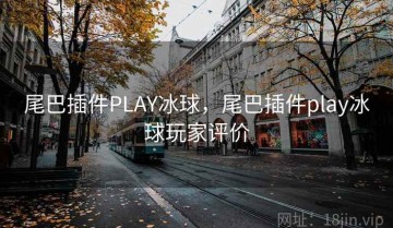 尾巴插件PLAY冰球，尾巴插件play冰球玩家评价