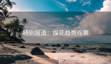 特别报道:探花趋势观察
