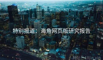 特别报道：海角网页版研究报告