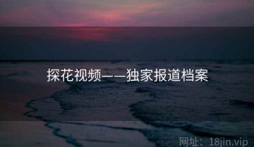 探花视频——独家报道档案