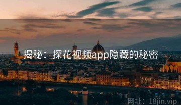 揭秘：探花视频app隐藏的秘密