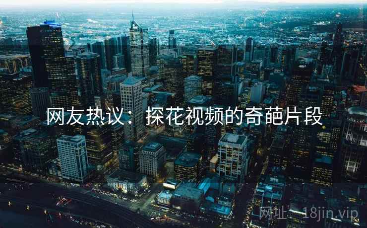 网友热议:探花视频的奇葩片段 网友热议:探花视频的奇葩片段