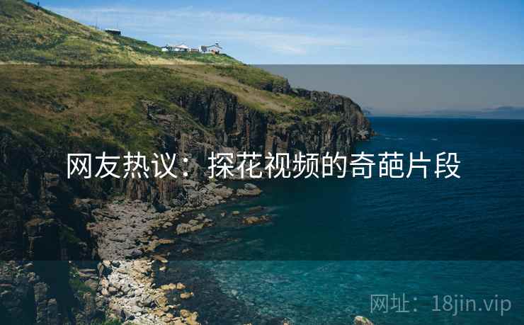 网友热议:探花视频的奇葩片段 网友热议:探花视频的奇葩片段