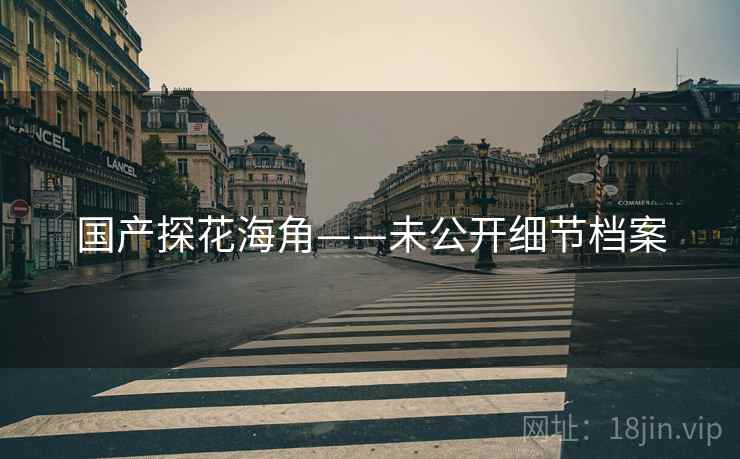 国产探花海角——未公开细节档案 国产探花海角——未公开细节档案