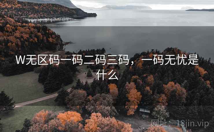 W无区码一码二码三码,一码无忧是什么 W无区码一码二码三码,一码无忧是什么