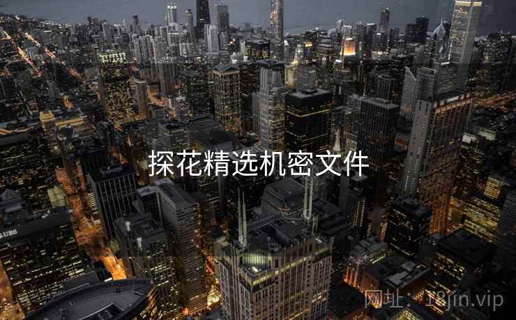 探花精选机密文件 探花精选机密文件