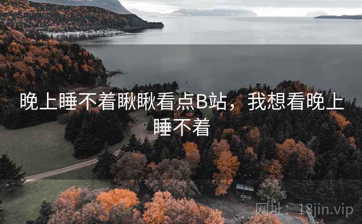 晚上睡不着瞅瞅看点B站，我想看晚上睡不着