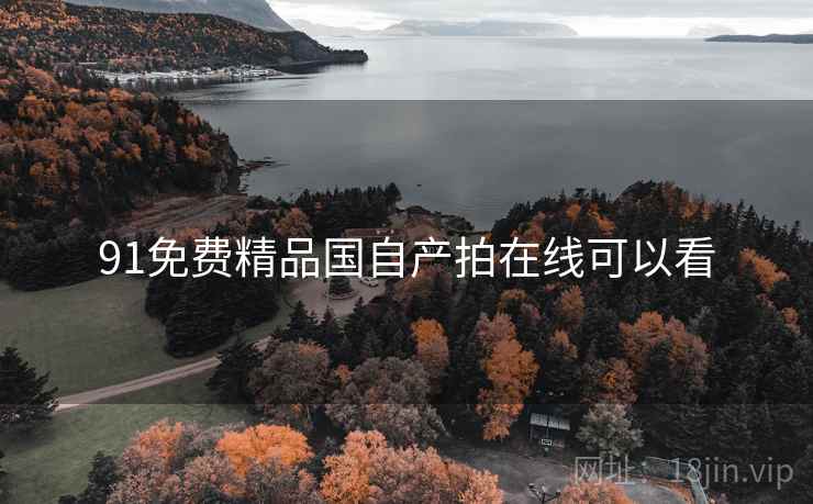 91免费精品国自产拍在线可以看 91免费精品国自产拍在线可以看